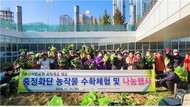 부산시설공단, 시민공원 텃밭서 취약계층 대상 배추·무 수확 나눔행사 개최