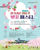 진주시, 청동기문화박물관 '벚꽃 페스타' 4~12일 개최