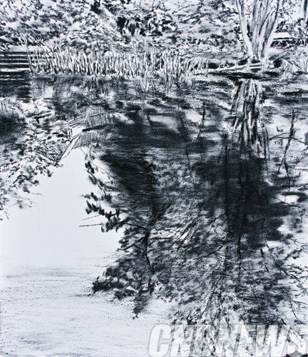 빈우혁, 'Triestpark 3'. charcoal on canvas, 53×45㎝, 2013.