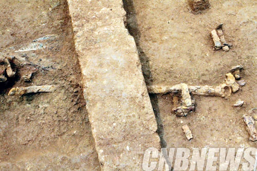 화성 향남2지구 동서간선환도로 H지점 환두대도 출토 모습.(사진=문화재청)