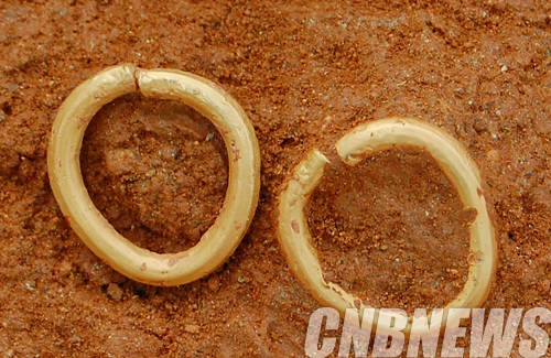 화성 향남2지구 동서간선도로 H지점 금제이식 출토 모습.(사진=문화재청)