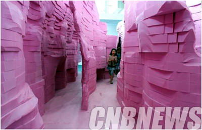 천대광, 'isopinkNr.1'. isopink(단열재), variable dimensions, 2014.