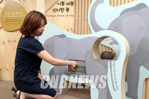 17일 서울 삼청로 국립민속박물관 어린이박물관에서 '똥 나와라 똥똥' 특별전 설명회가 열렸다. 이날 전시를 준비한 황경선 학예연구사가 서울대공원 동물원에서 제공한 기린, 코끼리, 너구리 등 5마리의 동물 똥을 표본으로 만든 체험도구를 시연하고 있다.(사진=왕진오 기자)