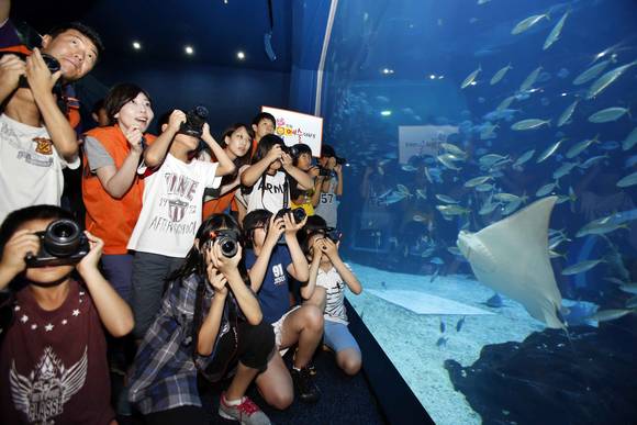 23일 오전 한화 임직원들과 초등학생들이 경기도 고양시의 ‘일산 아쿠아플라넷’에서 DSLR 카메라로 해양생물들을 촬영하는 체험을 하고 있다(사진 제공: 한화그룹)