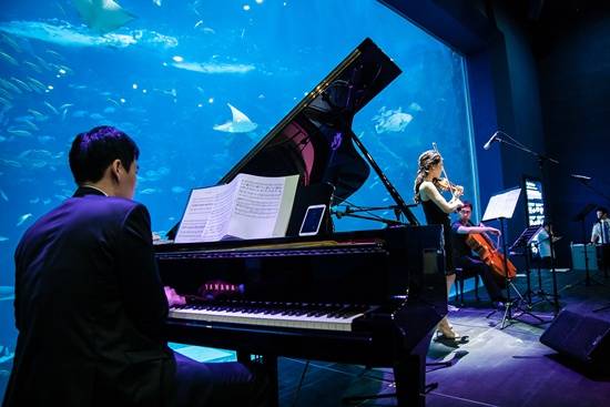 한화호텔앤리조트, 국내 최초 '아쿠아플라넷 콘서트' 개최