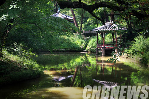 한국의 고정원(古庭園) ‘창덕궁 관람정’(사진=문화재청)