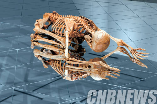 전준호, '마지막 장인'. Sophora japonica wood, mirror installation, a novel, 31(H)x70x116, 35(H)x480x415.6cm(pedestal), 2014.