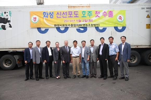 농식품 수출이 까다롭기로 소문난 호주가 화성시의 고품질 포도를 수입하면서 맛과 안전성을 인정받은 화성시 포도가 전 세계 포도시장을 선점할수 있는 발판을 마련했다는 평을 받고 있다. 빌 패터슨 호주대사와 채인석 화성시장(사진 위),화성시 제공)