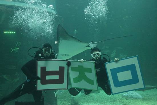 한화아쿠아플라넷 일산, 9일 한글날 '수중우리말 퀴즈쇼' 이벤트 실시