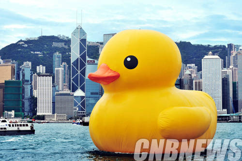 Hong Kong 러버덕 프로젝트. courtesy Studio Florentijn Hofman.