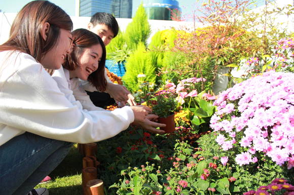 현대차가 서울특별시, 한국대학생홍보대사연합과 함께 서울역 고가 유휴공간 녹지화를 위한 자원봉사활동을 실시했다(사진 제공: 현대자동차그룹)