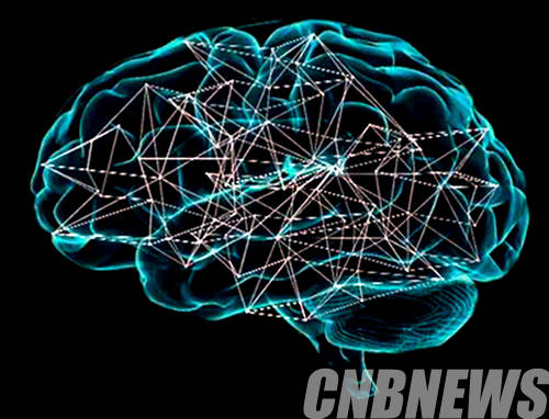 스위스 로잔 공과대학(EPFL)'휴먼 브레인 프로젝트'.