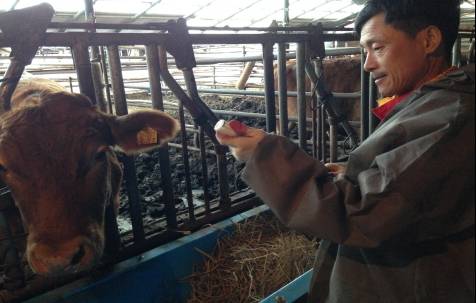 ▲(사진제공=화천군청)