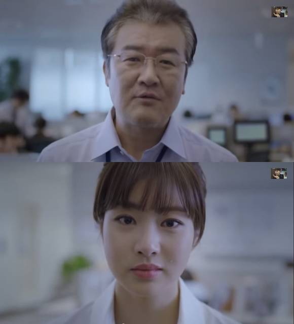 삼성화재 애니카 다이렉트의 ‘화해’ 광고(사진: 유튜브)