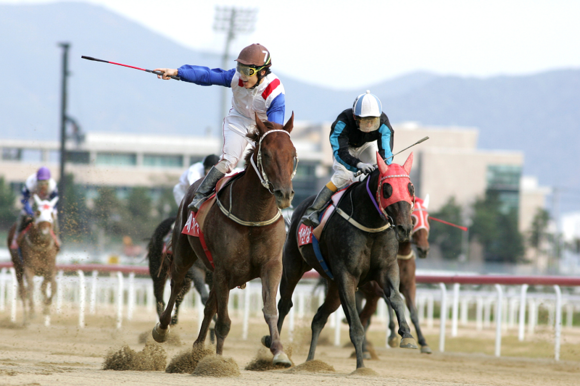 (사진제공=렛츠런파크 부경)