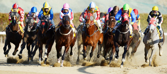 (사진제공=렛츠런파크 부경)