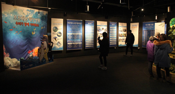 (사진제공=SEA LIFE 부산아쿠아리움)