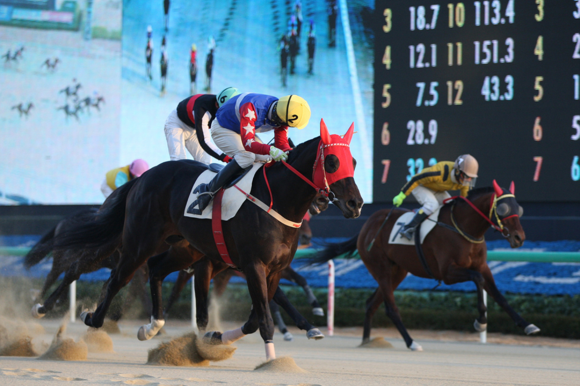 (사진제공=렛츠런파크 부경)