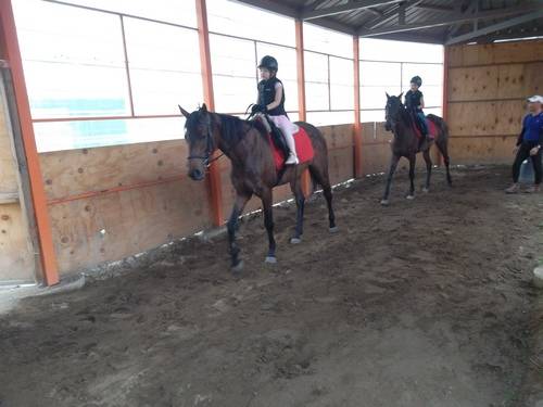 ▲ 명파초등학교 아이들 (사진자료=한국재활승마교육센터)