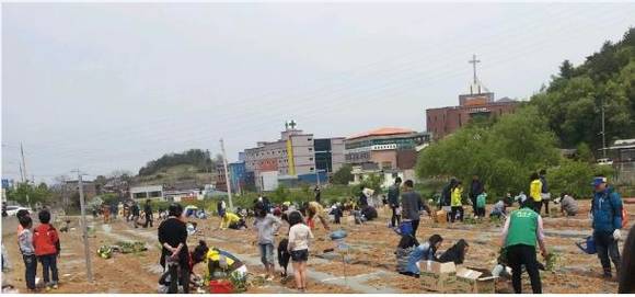 지난해 운영한 삼향동 주말농장 모습.