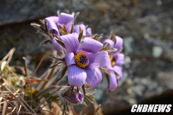 ▲(사진제공=정선군청)