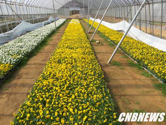 ▲(사진제공=속초시청)