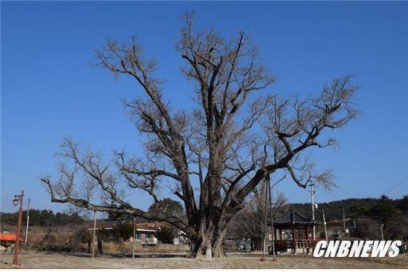▲(사진제공=강릉시청)