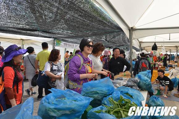 ▲(사진제공=정선군청)