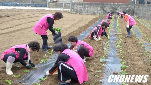 ▲(사진제공=화천군청)