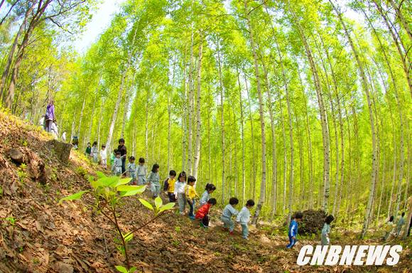 ▲ 숲체험 (사진제공=인제군청)