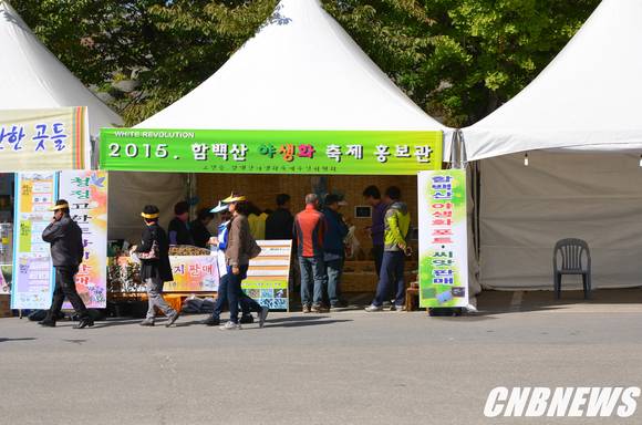 ▲(사진제공=정선군청)