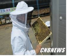 사진제공=홍천군