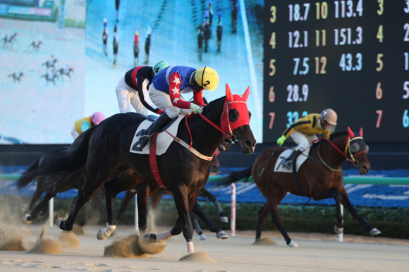 (사진제공=렛츠런파크 부경)