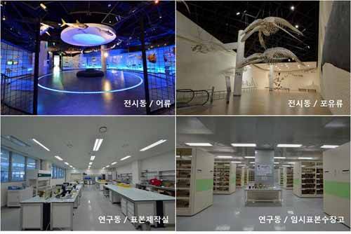 (사진제공=해수부) 국립해양생물자원관 내의 전시동