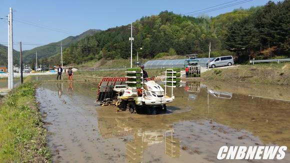 사진제공=횡성군