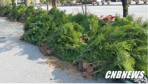 사진제공=홍천군