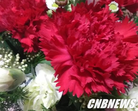 사진=CNB 포토뱅크