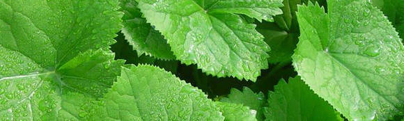 사진자료=양구군