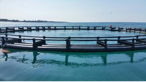 (사진제공=해수부) 태산이와 복순이가 야생적응훈련 기간동안 지낼 가두리 모습