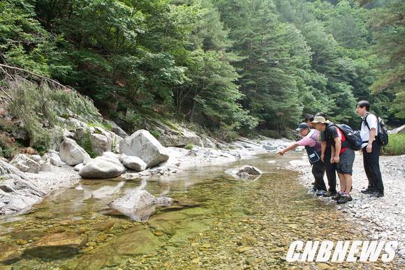 사진제공=인제군