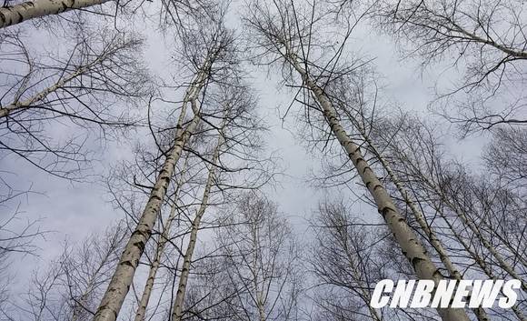 사진=CNB 포토뱅크