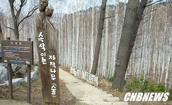 사진=CNB 포토뱅크