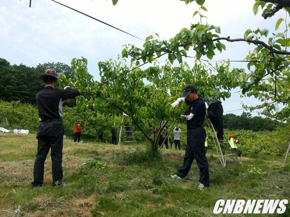 사진제공=강릉시청