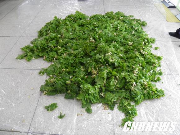 인제경찰서 제공