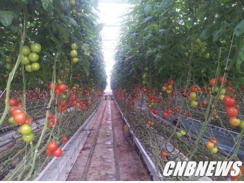 사진=CNB 포토뱅크