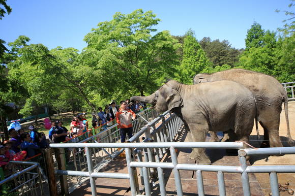 광주 우치동물원 코끼리관 <사진=광주광역시>
