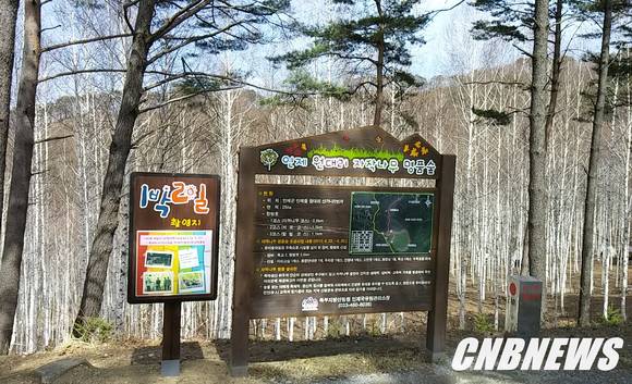 사진=CNB 포토뱅크