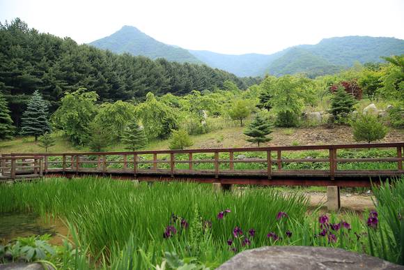 (사진제공=양구군청)