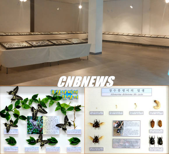 (사진제공=태백시청)