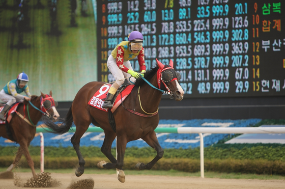 결승선을 향해 질주하고 있는 임성실 기수와 '감동의바다'.